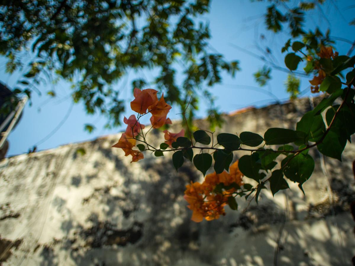 Pueblito Magico Hostel - Mompox Bagian luar foto